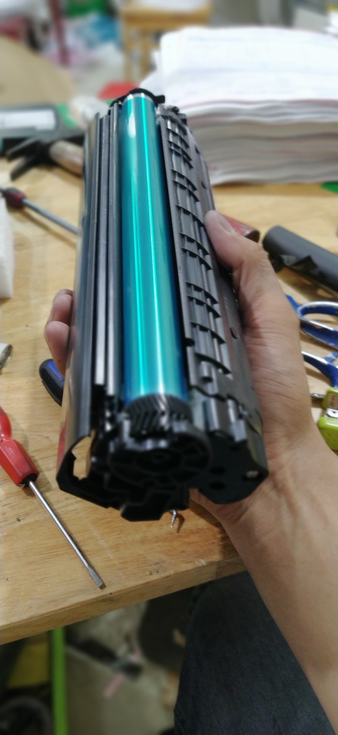 368769912_795432325711124_3470444459006550340_n