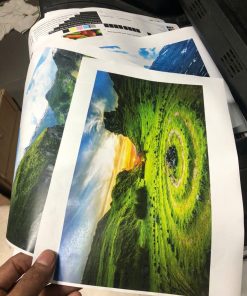 Máy in màu đồng nai